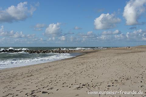 (Foto Goslar)_daenemark_2010_IMG_0273_Bovbjerg_Strand.jpg - Am Strand bei Bovbjerg, an dem es wieder im Norden toll und ...